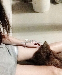 25�꣬����167����Ů��