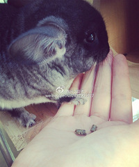 25�꣬����167����Ů��