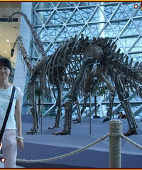 ������װ���ҵ���������װ