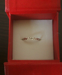 �������ռǡ�����תת��ʮ�ꡣ����