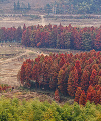 ����ing______������