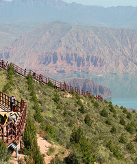 �Լ����� �������