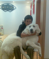 �Ҹ���������Ů��˿����