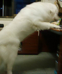 �Ҹ���������Ů��˿����