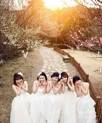 ���ǵĻ�ɴ��������