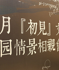 三月【初见】相亲会归来