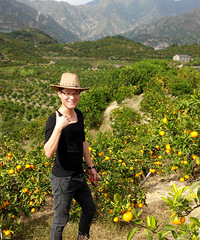 85����ţ��ɬ���ף���ʶ�������������