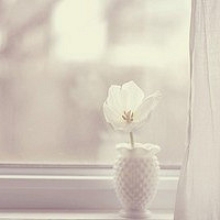 ̨����д����