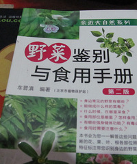 "野菜之六——【水芹菜】"