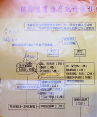 "试管婴儿的日子"