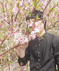 �ұ�ʣ���ˣ�ֻΪ��Ϊ���Mr.Right