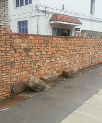 ���������ɣ����ʵ���ϵ��