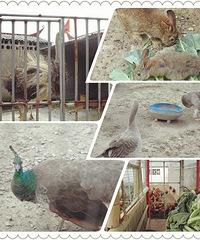 ������ƪ������ȥ�Ķ���ڶ���������һ��ȹ���һ�����ֵ���ĩ��