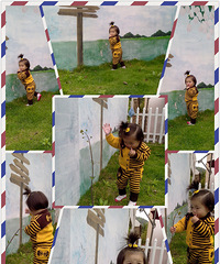 ��2014�����ŵڶ��ڹ�����+�����ֵĴ��͵ĺ���������