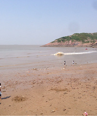 ������ţβ��ɳ̲