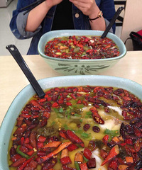 �������� ���ܵ�����