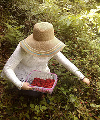 野生草莓(覆盆子)50一斤,好吃极了!