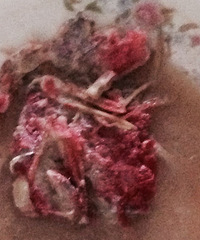 ����ʲô��� û����Ĵ��㵽����ͱ���ô�ֲ�