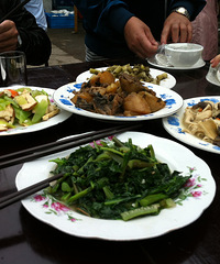 �ڻ�����������Ե���ի����Ȼ̸��������