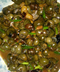 �������أ�����˲���15ԪŶ