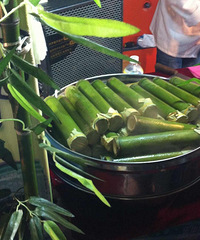 ����̨��С����ʳ�� ��ʦ�֡���ʦ������