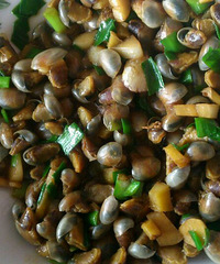 �����ݵļ��ڵ��ˡ�����ץ���ݿ�