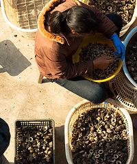 ������̨����ɫ��ʳ ��ζ���Ĳ���