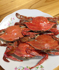 �������ײ� ʲô�˶�������