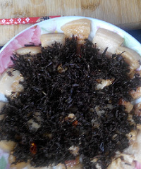 ù�ɲ�����