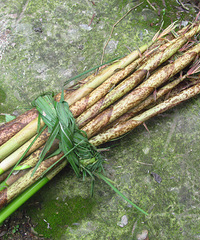 �������ܳ��𣿡���Ұ��ϵ��֮ʮ��