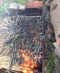 ����ϵ�С����--������