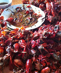 һ��С������9�����ң�160�����