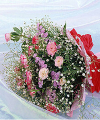 [�Ƽ�]���񱳾����ִ�ȫ ����������