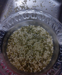 ���������̶���