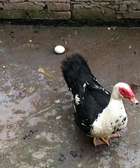 �д���յ���ζ���