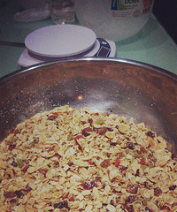 ��������ζ��õĸ���ŵ����Ƭ