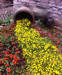 ���������̨�󰶴�