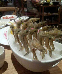 Ϊʲô�Ҿ�����������