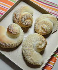 ֥���������