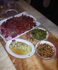 ���������˳���һ����