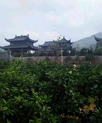 临海又一处旅游胜地大石福泉寺