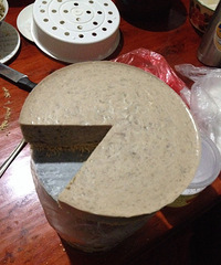 �⿾�㽶����