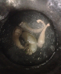 ɳ���̲�������������ʮȫ������