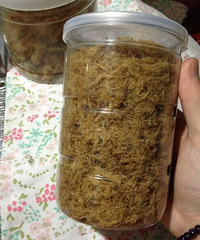 �����������������