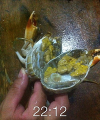 Ҫ�Ծͳ�Ұ����з