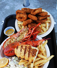 ���Ի�������04�ڡ������µ���ʳ֮��