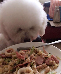 ����Ĳ����³���