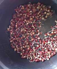 ���Ի������ġ��������������Ի��ǳ���ѿ��������......