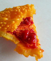 ����  �ⶫ������