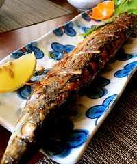 �Ի��������ʳ֮�ձ�����